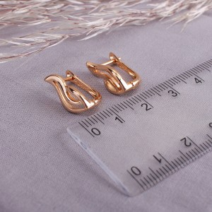 Жіночі сережки "Класика", С11710