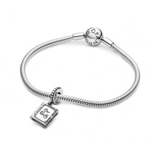 Подвеска "Семейный альбом" , С882