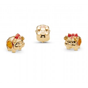 Шарм "Свинка скарбничка" Shine, С4184