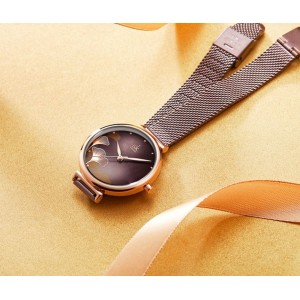 Жіночий годинник "SK", коричневі, С8126