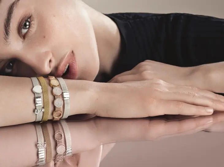 Pandora Reflexions SILVERS